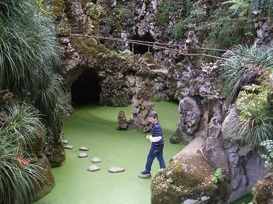 Apple Коларес